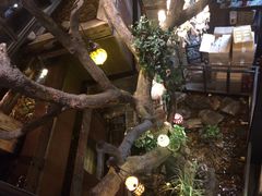 -D STAR COFFEE帝星咖啡