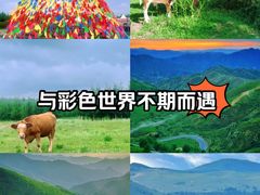 -御道口草原森林风景区