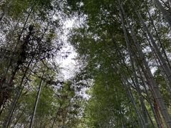 -皖西大裂谷
