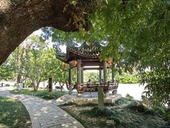 -江心屿景区