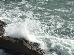 -广东惠东海龟国家级自然保护区