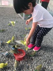 -萌宠亲子动物乐园(槐房万达店)