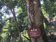 -海南热带雨林国家公园吊罗山景区
