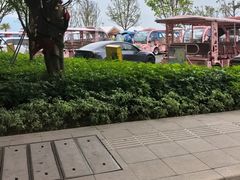 -杨梅坑