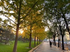 -江南赋(内蒙古大厦店)