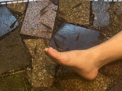 -宁海森林温泉