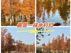 -白鹭湾湿地公园