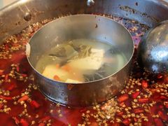 -蛙两只美蛙鱼头火锅(恒茂店)