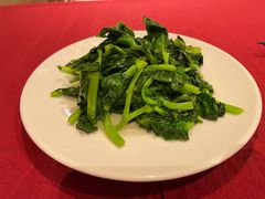 酒香豆苗-老吉士酒家(天平路店)