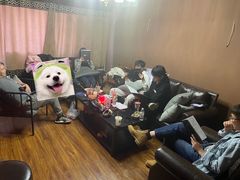 -猫尾侦探俱乐部·剧本杀·狼人杀