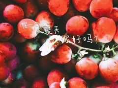 -江杨农产品批发市场