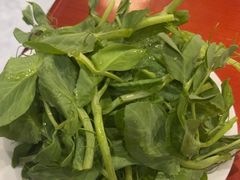-菌之家·专业纯野生菌火锅·特色炒菌