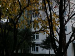 -北京四中(道元校区)