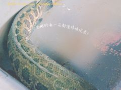 -金三可市井水煮鱼(金碧园店)