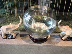 -新沸腾鱼乡(世贸天阶店)