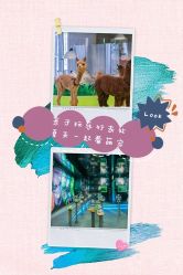 -七巧国萌宠乐园(龙湖天街店)