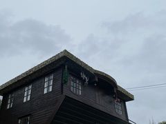 -金山农民画村-枫泾波兰倒置屋