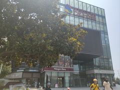 -阳光天地