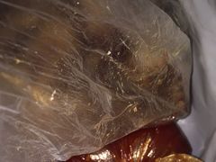 油烫鸭-鹿记油烫鸭(大坝头店)