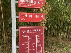 -洛阳白马寺