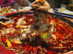 -老黄记丁丁美蛙鱼头自助鱼火锅(中海国际旗舰店)