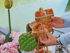 -欢乐蟹庄·精品农家乐(阳澄湖莲花岛店)