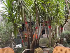 -瑞丰园庭院餐厅·白族传统家常菜