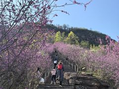 -天台山赤城山景区