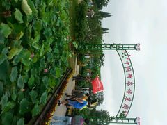 android_upload_pic-荷花荡