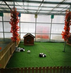 -萌宠亲子动物乐园(槐房万达店)