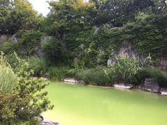 -吴淞炮台湾湿地森林公园烧烤区