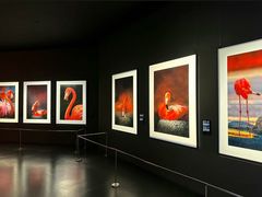 -罗红摄影艺术馆