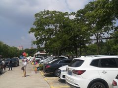 -共青国家森林公园-南大门停车场