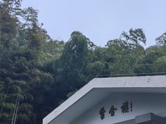 -南京东郊国宾馆