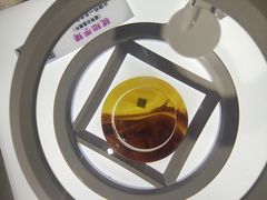 -上海昆虫博物馆