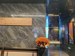 -华夏良子·足道SPA养生(上海崮山路明悦店)