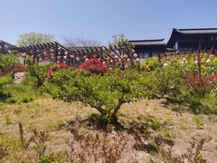 -《神游传奇》秀
