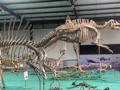 -崇州天演博物馆
