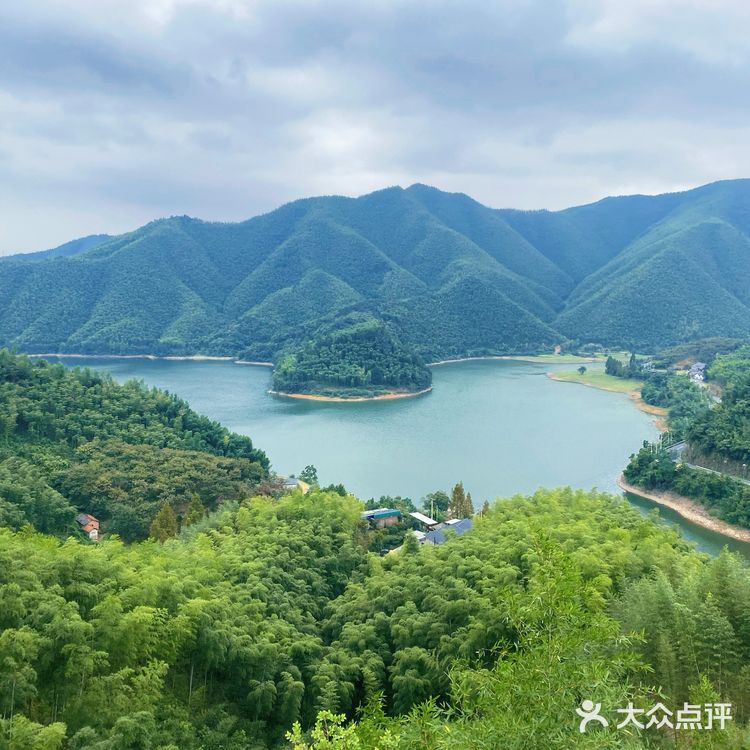 湖州安吉小杭坑营地｜可以带着狗狗🐶去的露营⛺地️