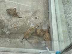 -苏州太湖西山岛开心农场