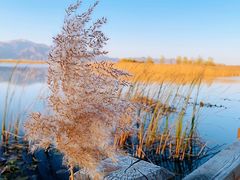 -野鸭湖国家湿地公园