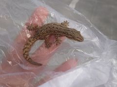 -石湾服务区-停车场