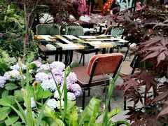 -PlantsEatery·植物食堂(REX春熙店)