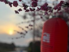 -杏花村文化旅游区
