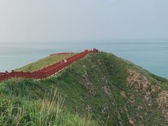 -枸杞岛