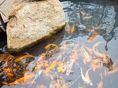 -大笑饭堂(甲子桥店)