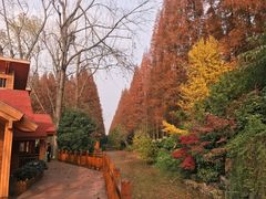 -上海怡沁园度假酒店