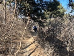 -北京西山国家森林公园