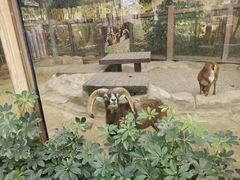 -南宁市动物园