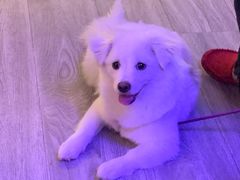-鸿鹄足浴店(东门店)